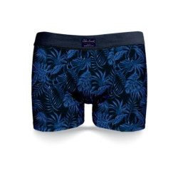 Pánske boxerky John Frank JFBUC146-LEAF